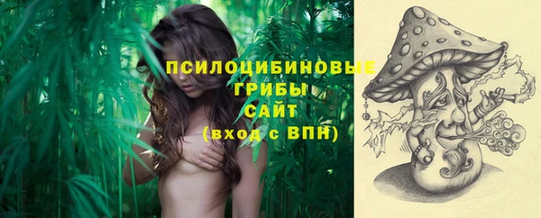 соль курить ск Алзамай
