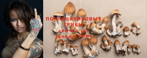 соль курить ск Алзамай