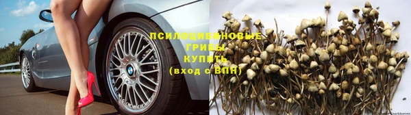 2c-b Алексин